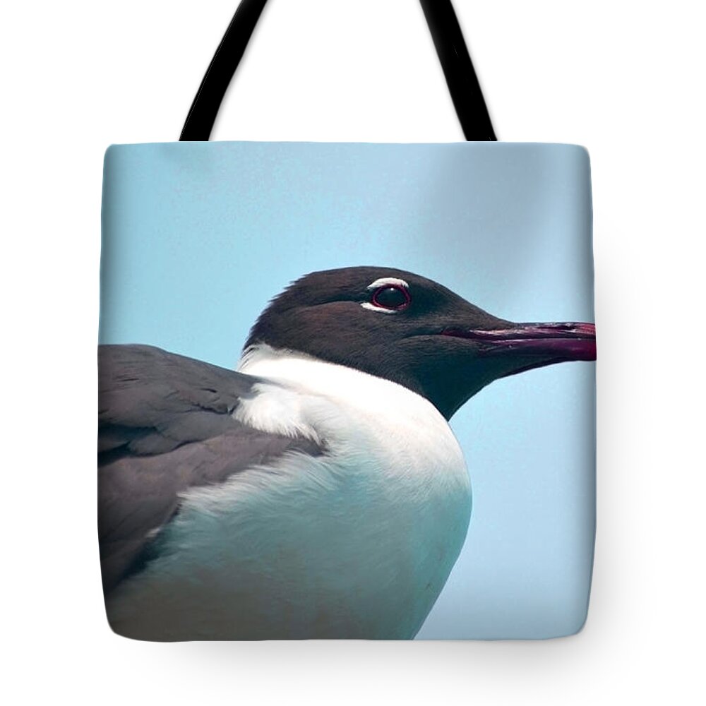 Seagull Tote Bag featuring the photograph Seagull Portrait by Sandi OReilly