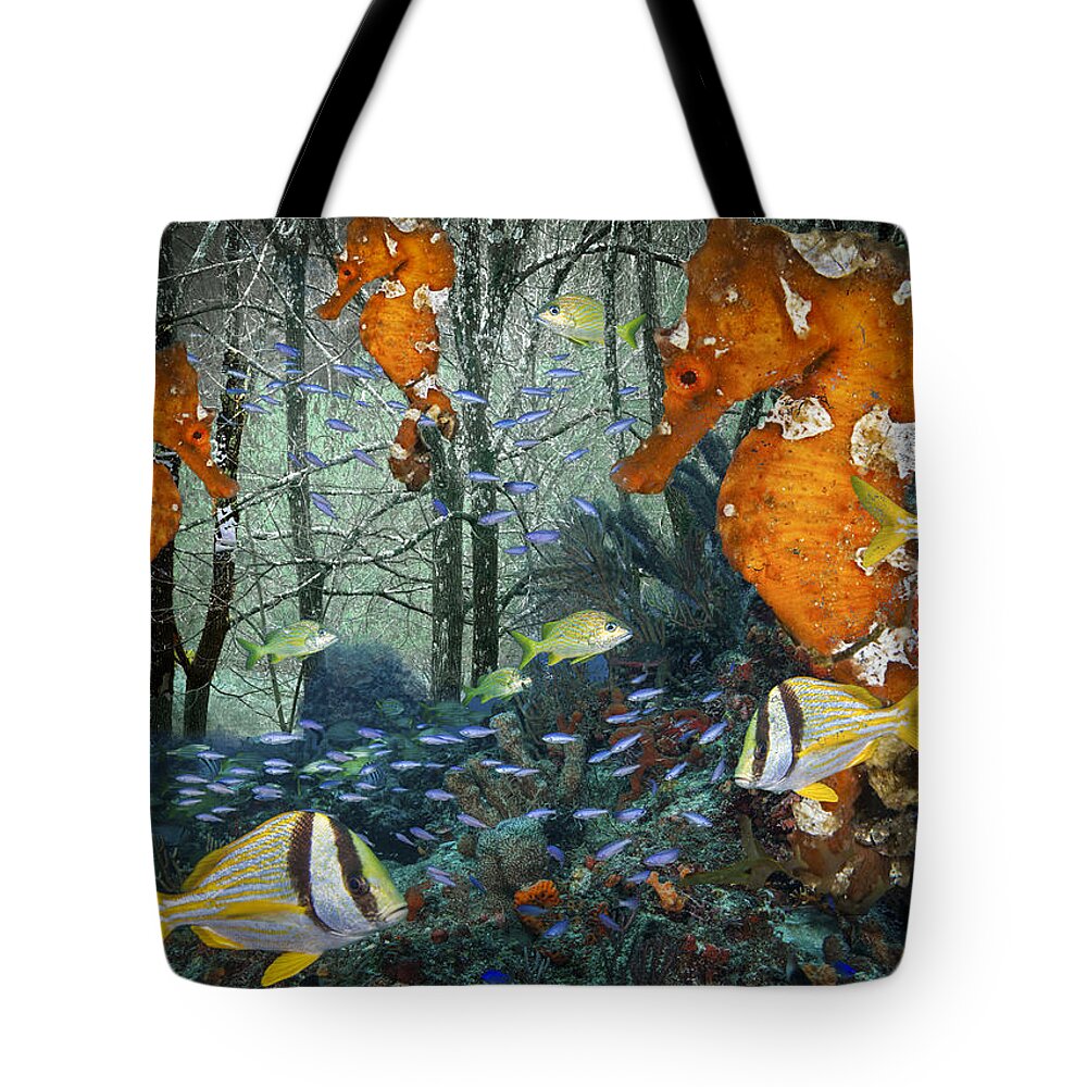 Fishing Tote Bag featuring the photograph Seahorse City by Debra and Dave Vanderlaan