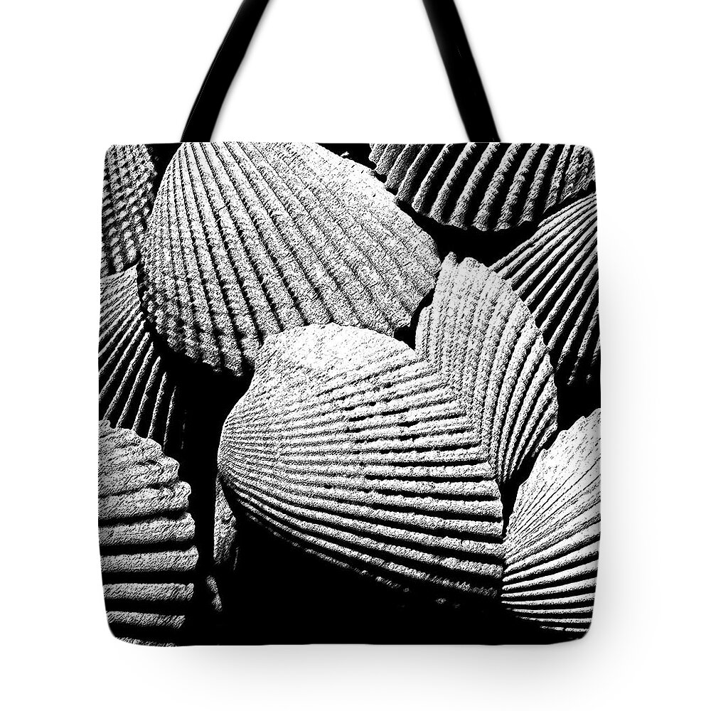 Shells Tote Bag featuring the photograph Seashell Abstract by Mary Bedy