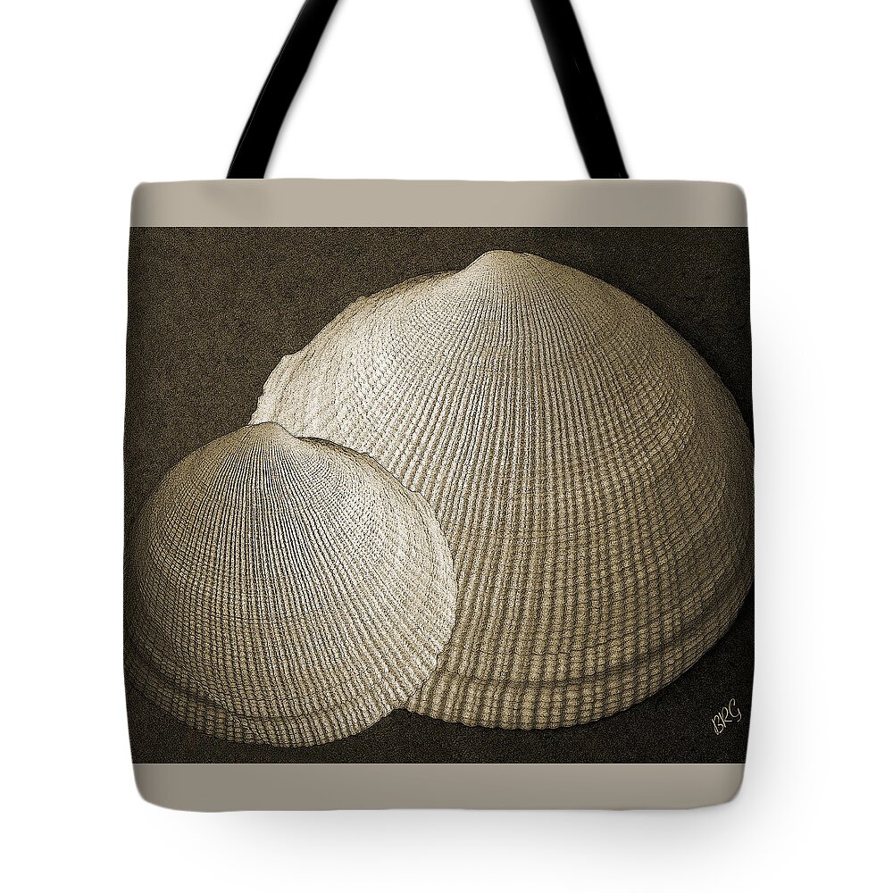 Seashell Tote Bag featuring the photograph Seashells Spectacular No 8 by Ben and Raisa Gertsberg