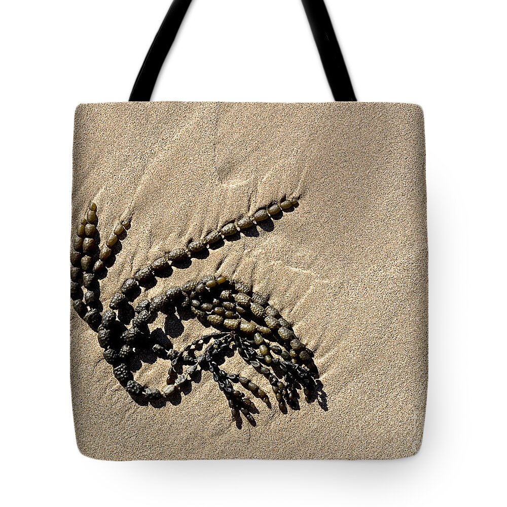 Seaweed Tote Bag featuring the photograph Seaweed on beach by Steven Ralser