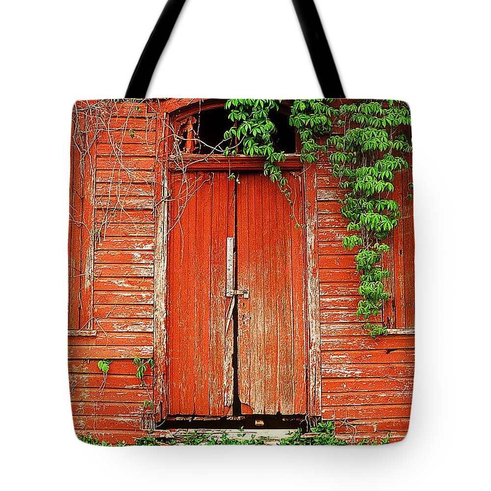 Fine Art Tote Bag featuring the photograph Secrets by Rodney Lee Williams