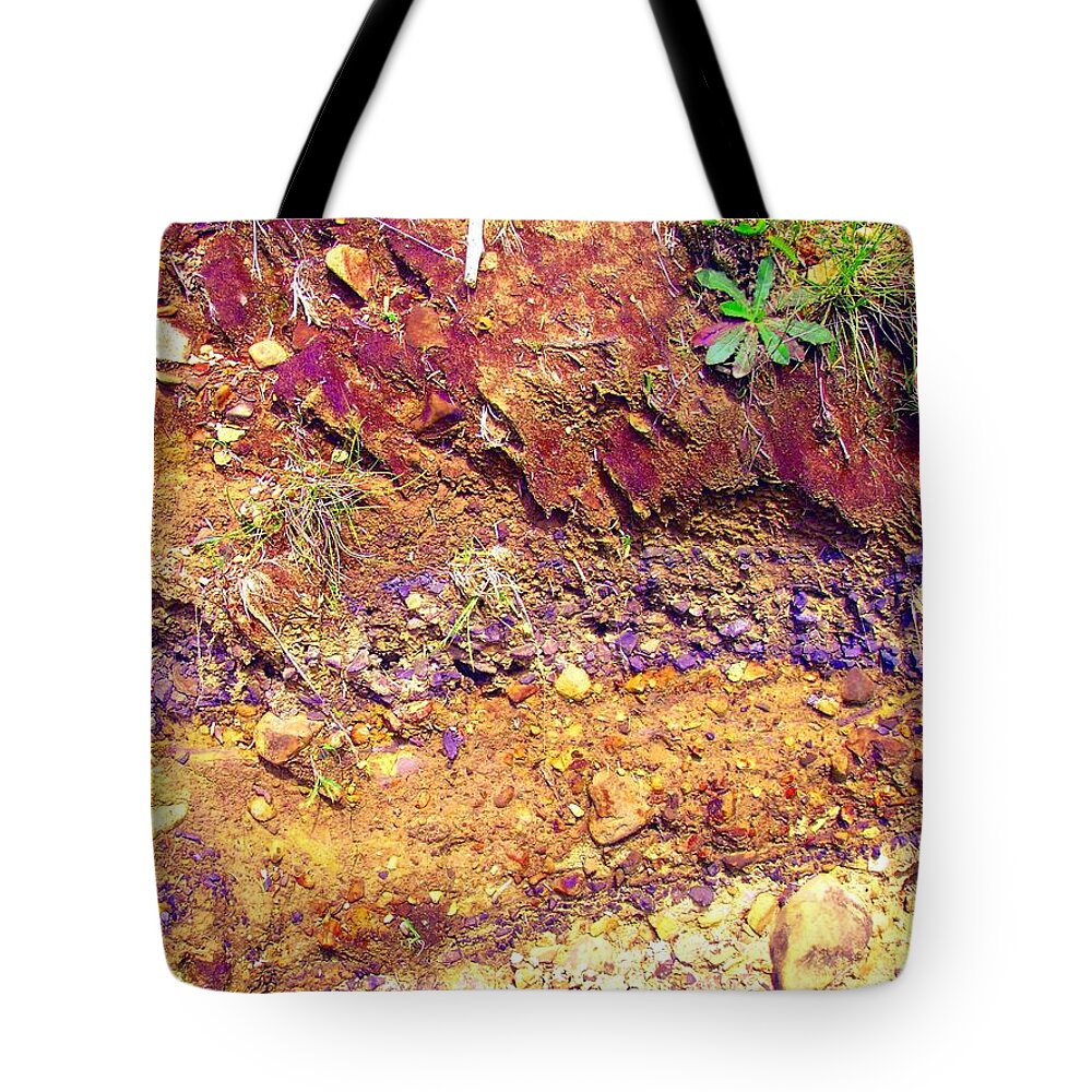 Sediment Tote Bag featuring the photograph Sedimental Value by Laureen Murtha Menzl
