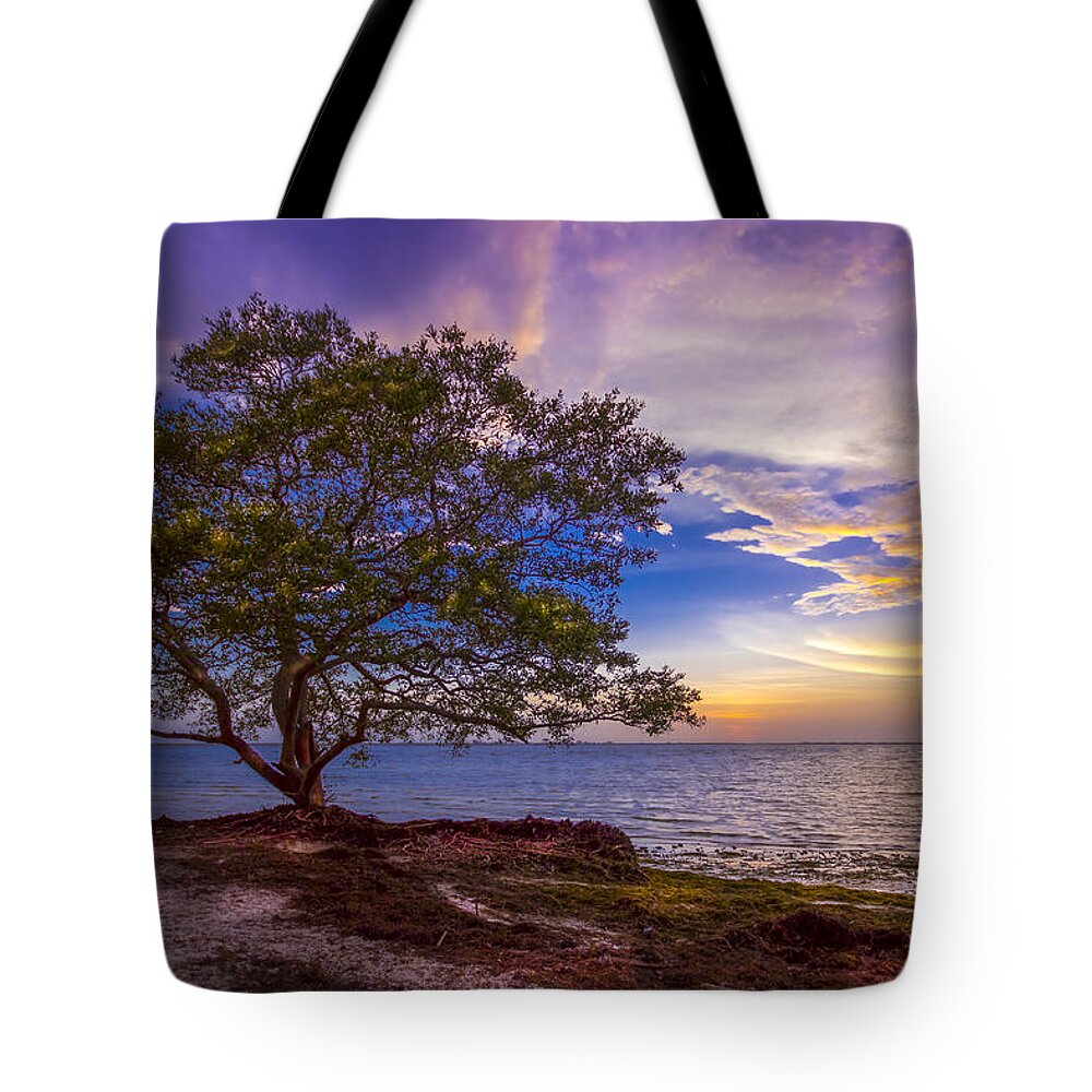 Seascapes Tote Bag featuring the photograph Seeing is Believing by Marvin Spates
