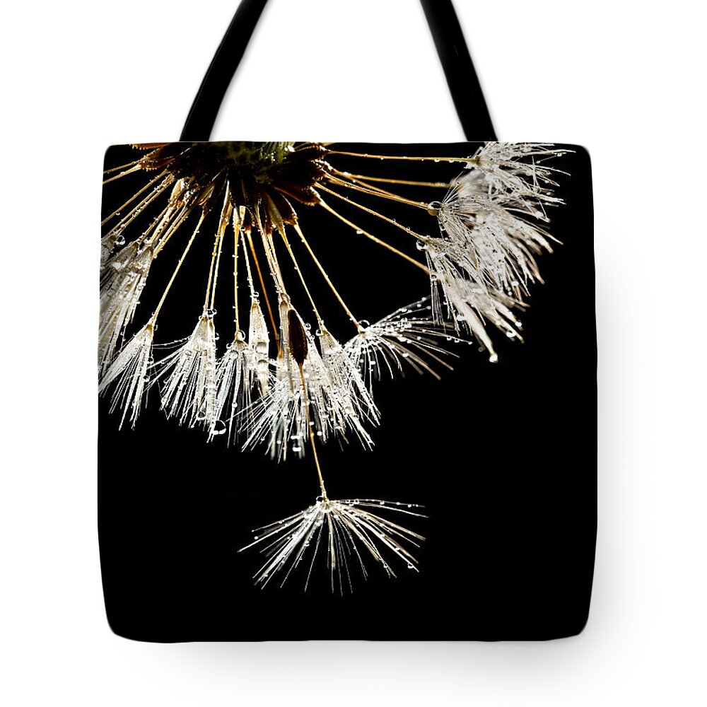 Seed Tote Bag featuring the photograph Seeking Freedom by Mary Jo Allen