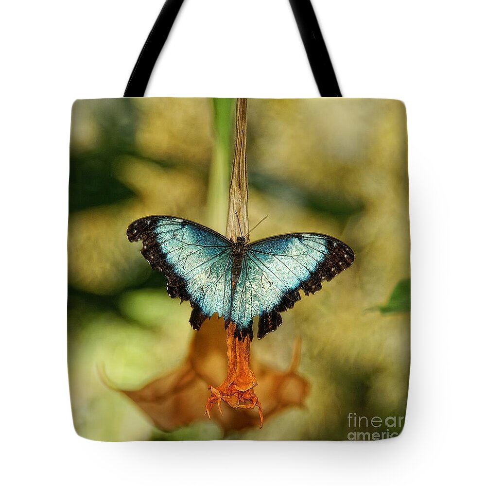 Butterfly Tote Bag featuring the photograph Seen Better Days by Peggy Hughes