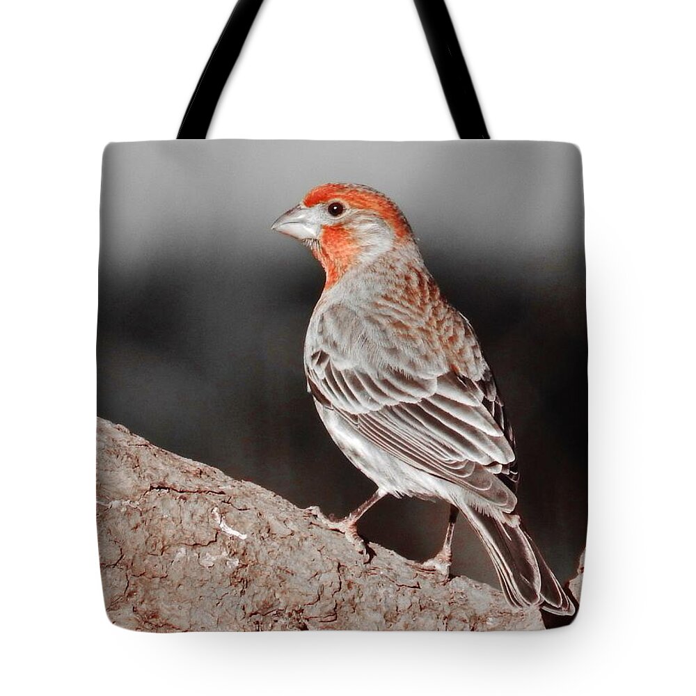 Selective Color Tote Bag featuring the photograph Selecting Scarlet by VLee Watson