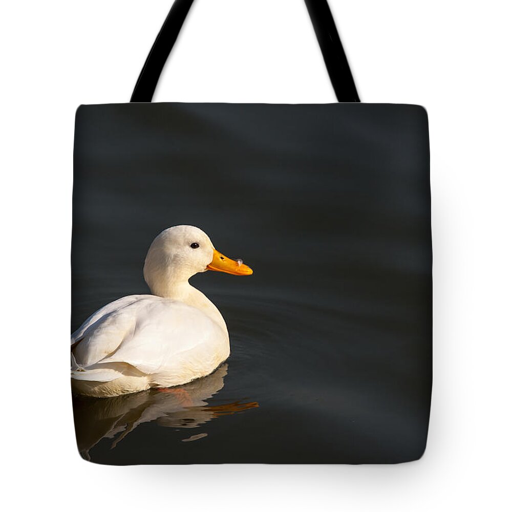 Birds Tote Bag featuring the photograph Self Conscious? by Sonny Marcyan