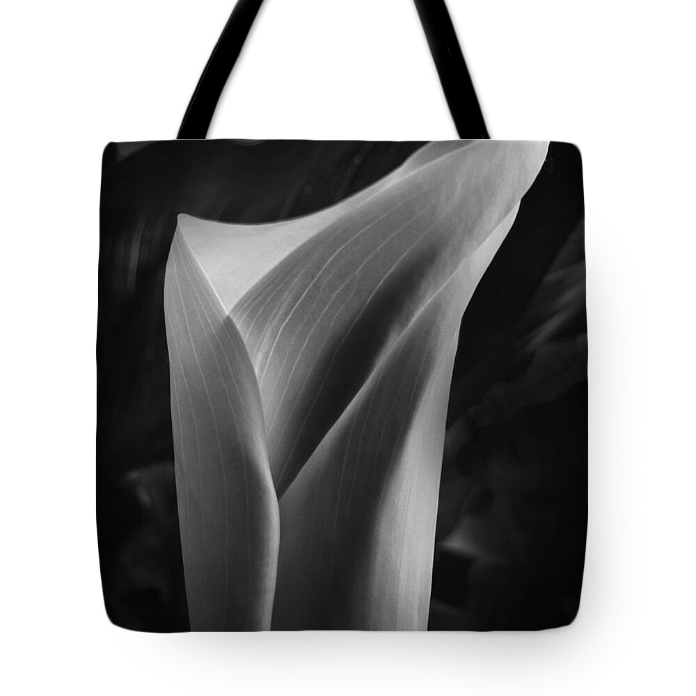 Calla Tote Bag featuring the photograph Sensuous Calla by Lucy VanSwearingen