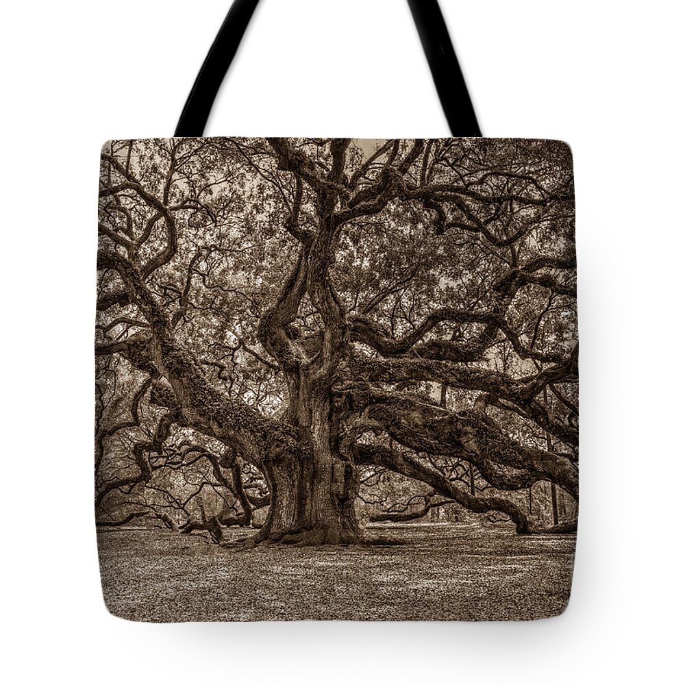 Angel Oak Tree Tote Bag featuring the photograph Sepia Angel Oak by Dale Powell