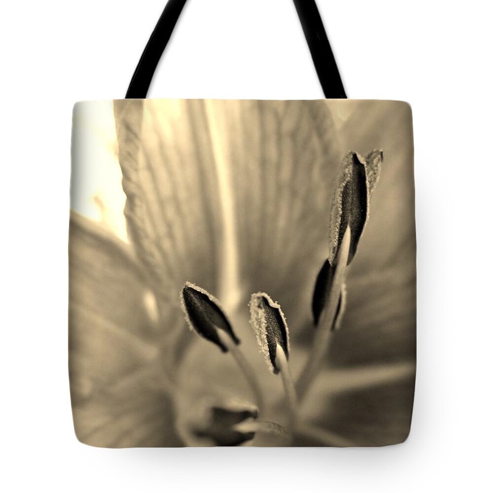 Lily Tote Bag featuring the photograph Sepia Macro Daylily by Cynthia Clark