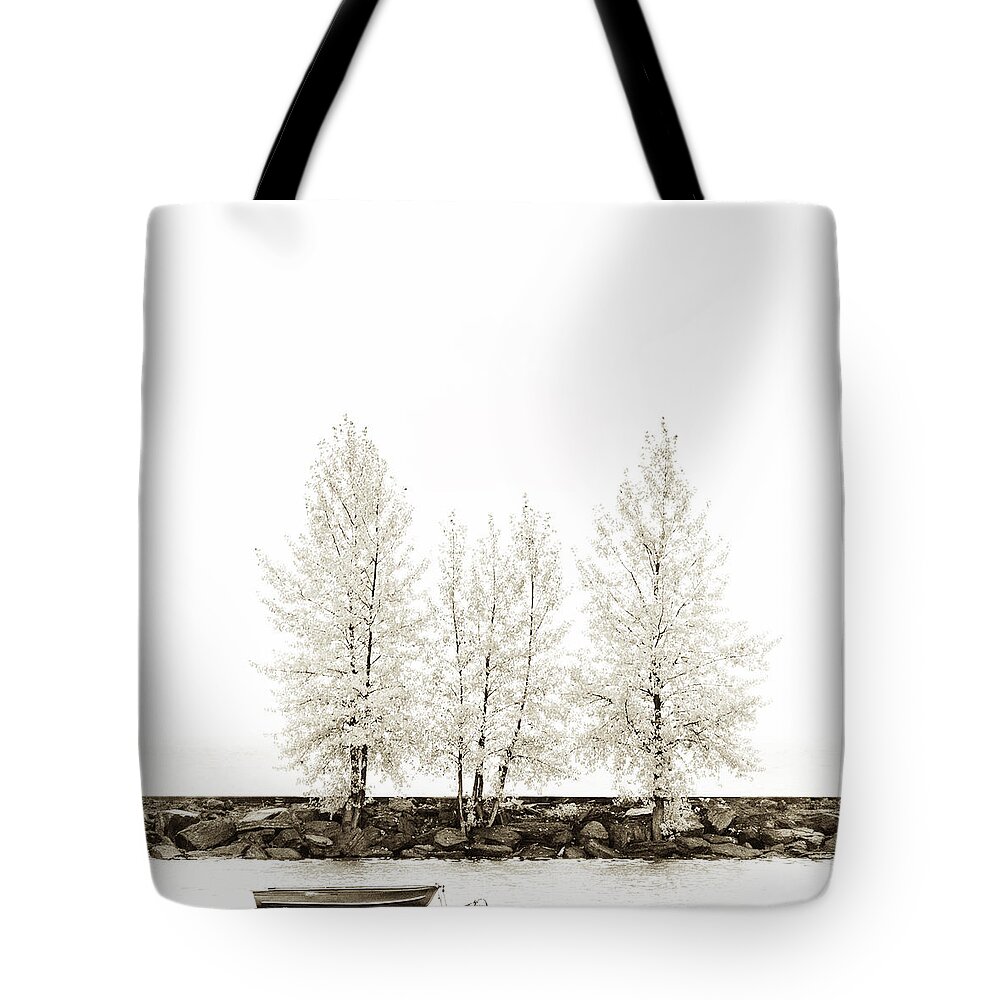 Autumn Tote Bag featuring the photograph Sepia Square Tree #2 by U Schade