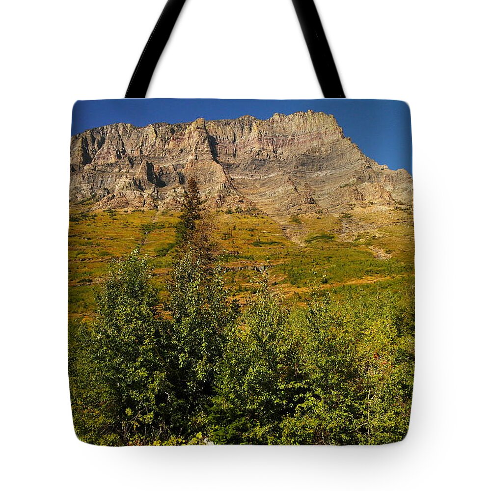 Mountains Tote Bag featuring the photograph September At Glacier by Jeff Swan