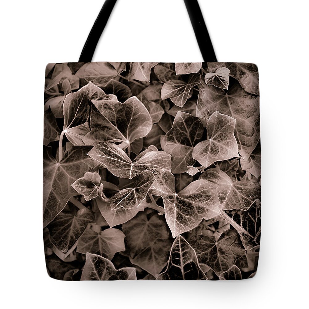 September Ivy Tote Bag featuring the photograph September Ivy by Greg Jackson