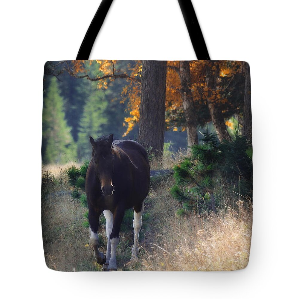 Horse Tote Bag featuring the photograph September Surrender by Amanda Smith