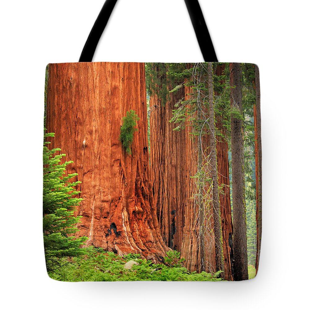 America Tote Bag featuring the photograph Sequoias by Inge Johnsson