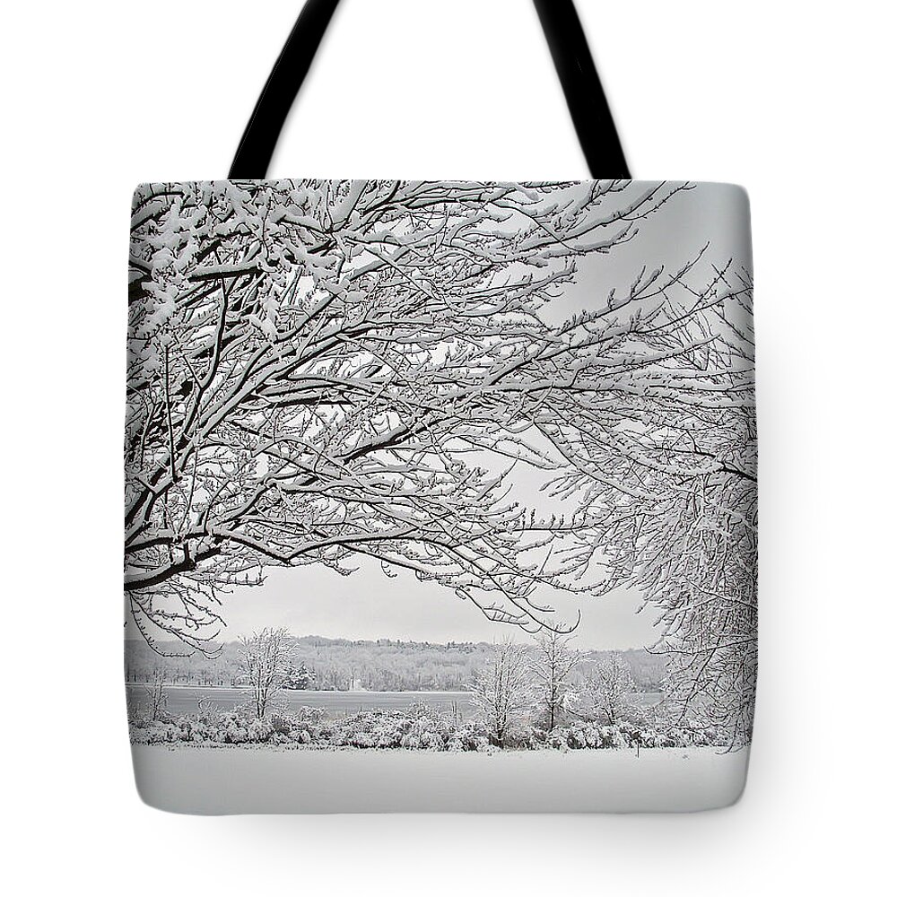 Landscape Tote Bag featuring the photograph Serene by Aimee L Maher ALM GALLERY