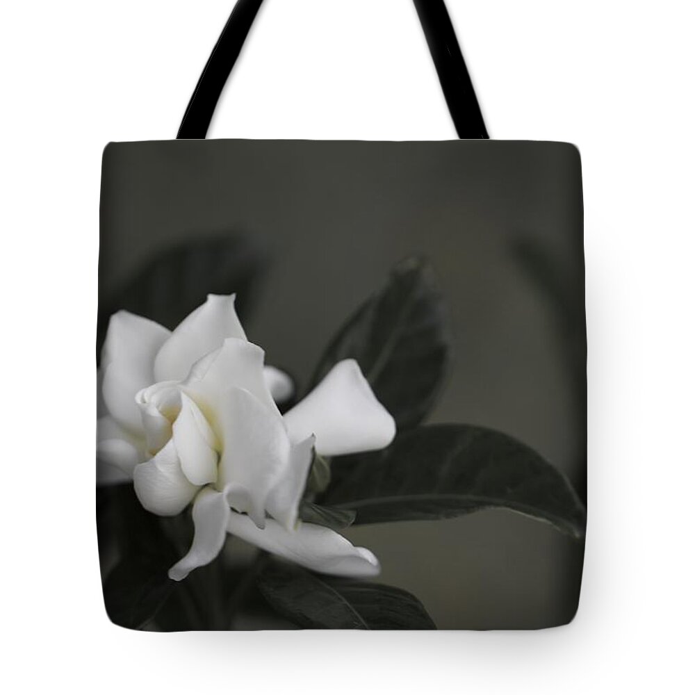 Gardenia Tote Bag featuring the photograph Serene by Jade Moon