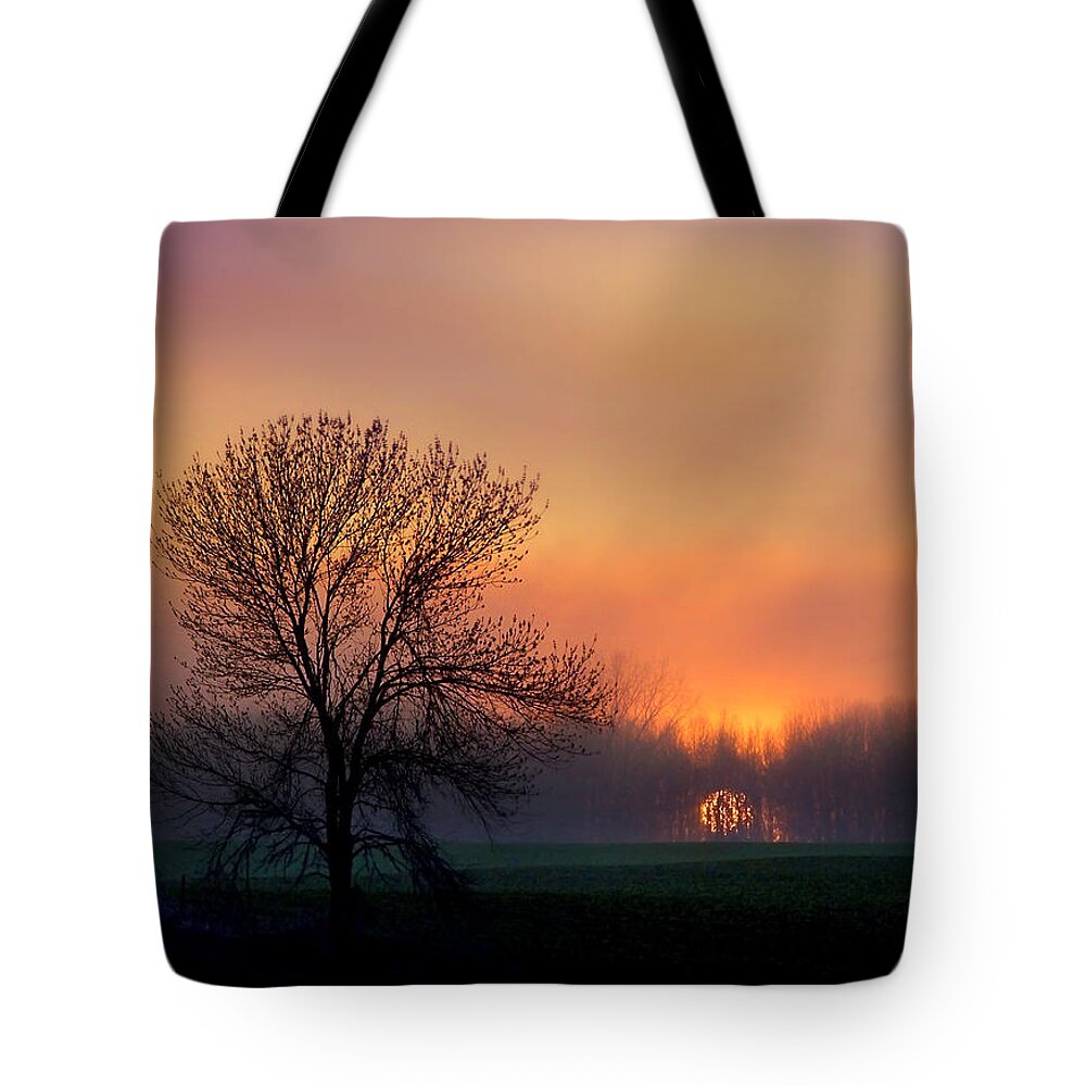 Bill Pevlor Tote Bag featuring the photograph Serene Sunset by Bill Pevlor