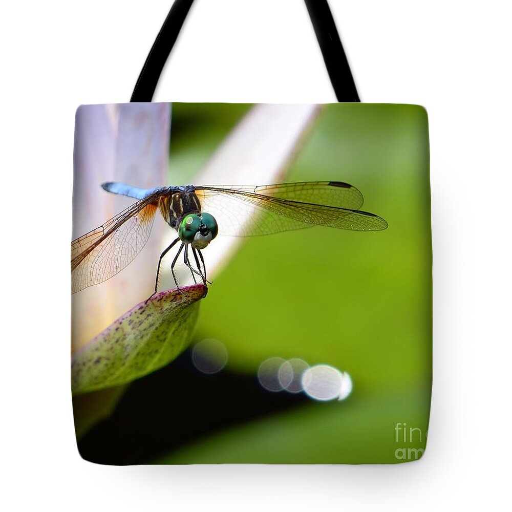 Dragonfly Tote Bag featuring the photograph Serenity by Chad and Stacey Hall