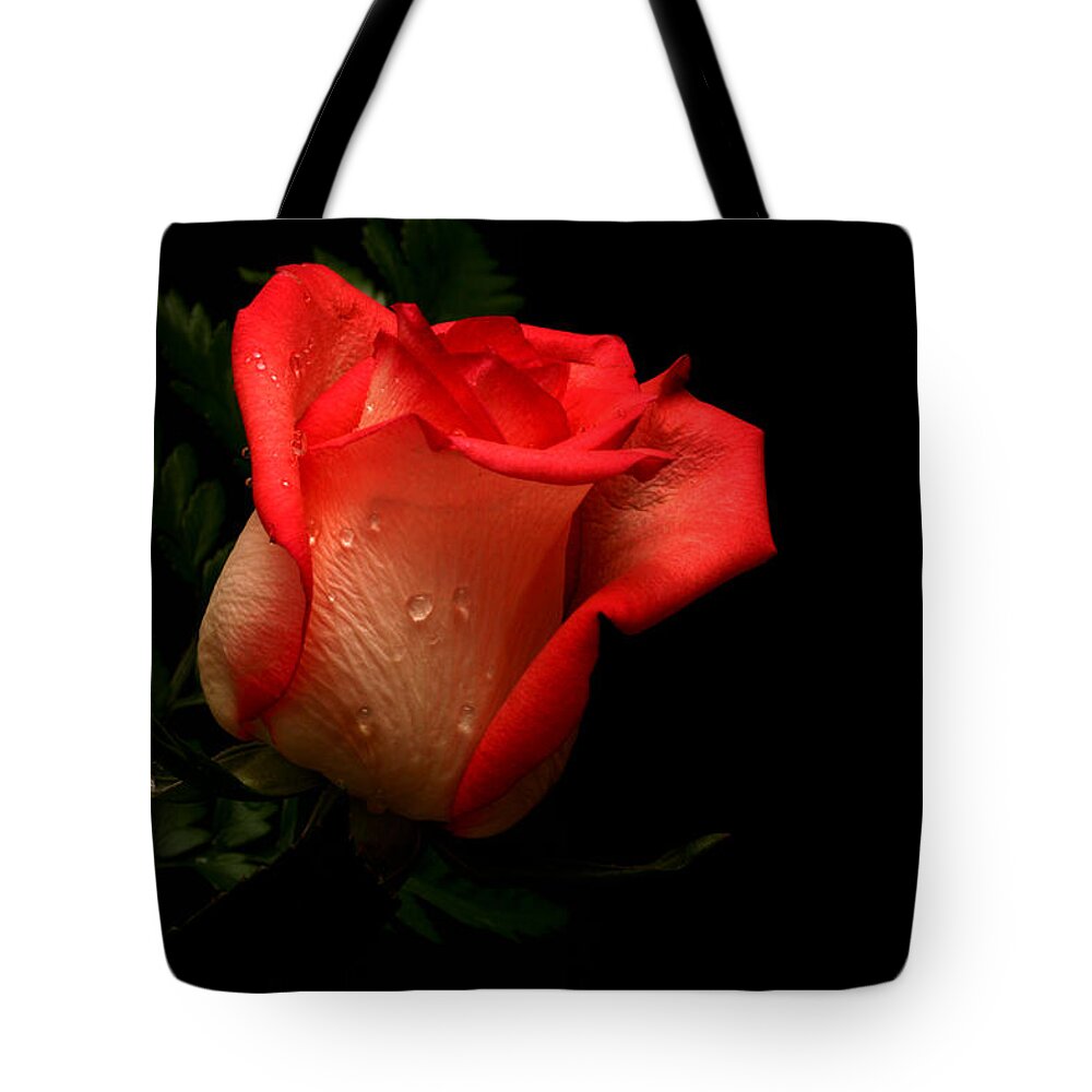 Rose Tote Bag featuring the photograph Serenity by Doug Norkum
