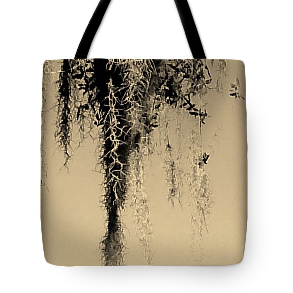 Landscape Tote Bag featuring the photograph Serenity in Sepia by Tamara Michael