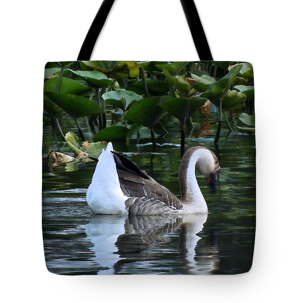 Serenity Tote Bag featuring the photograph Serenity Swim by Robyn King