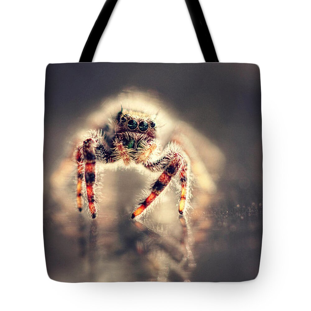Spider Tote Bag featuring the photograph Set in Motion by Melanie Lankford Photography