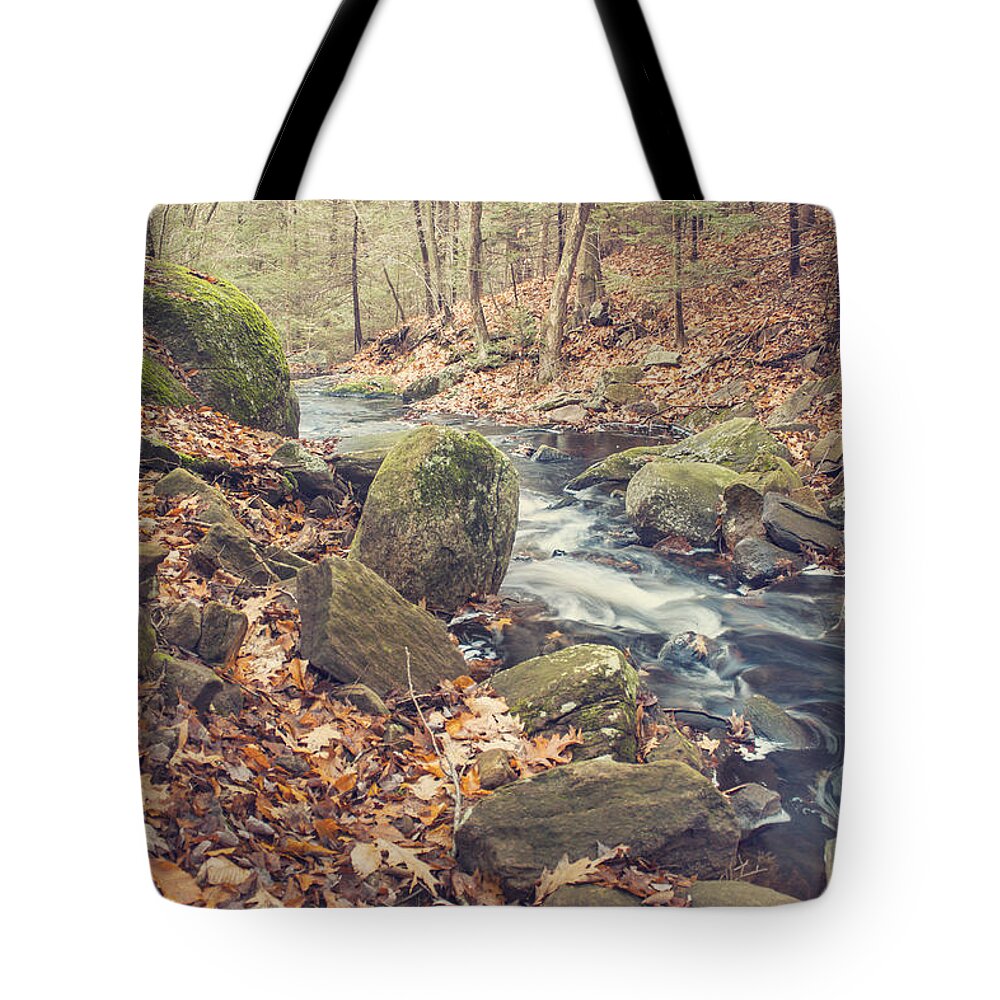 Autumn Tote Bag featuring the photograph Shade Of November by Evelina Kremsdorf
