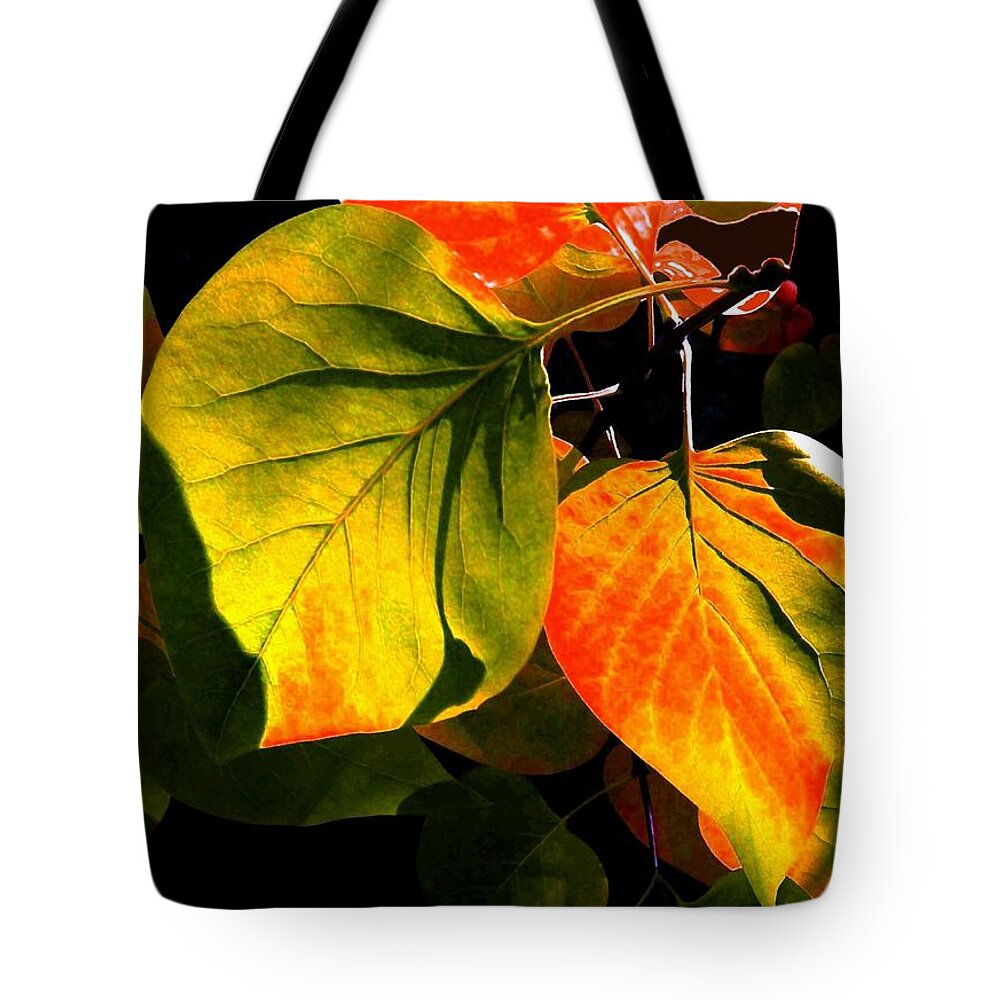 Shades Tote Bag featuring the photograph Shades And Shadows by Will Borden