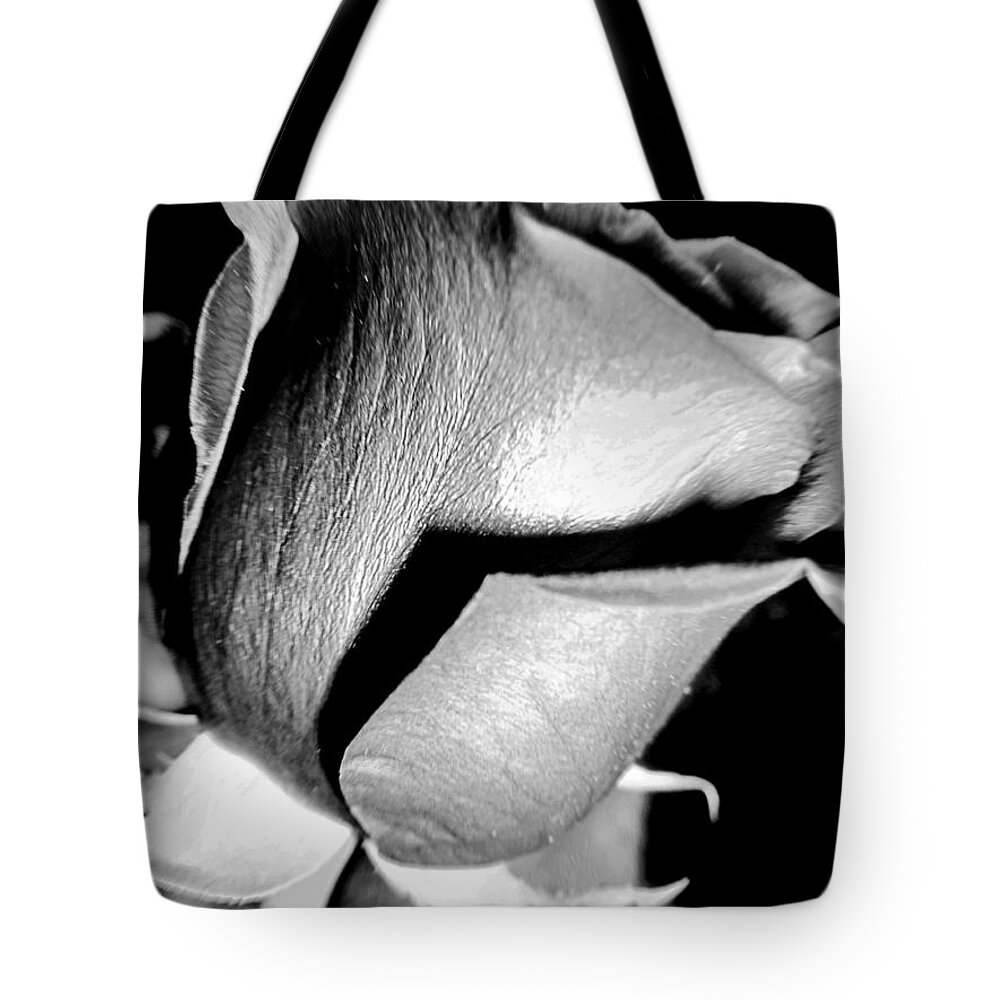 Shade Tote Bag featuring the photograph Shades Of Rose by Nina Ficur Feenan