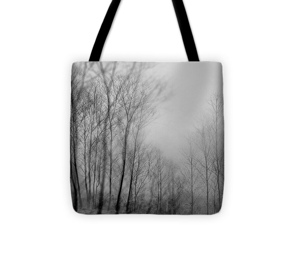 Black And White Photographs Tote Bag featuring the photograph Shadows and Fog by Phyllis Meinke