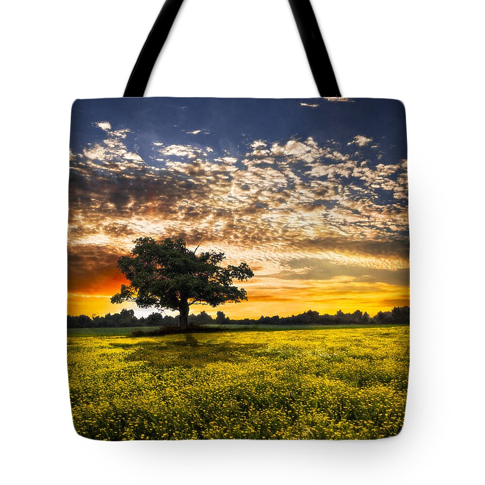 Barns Tote Bag featuring the photograph Shadows At Sunset by Debra and Dave Vanderlaan