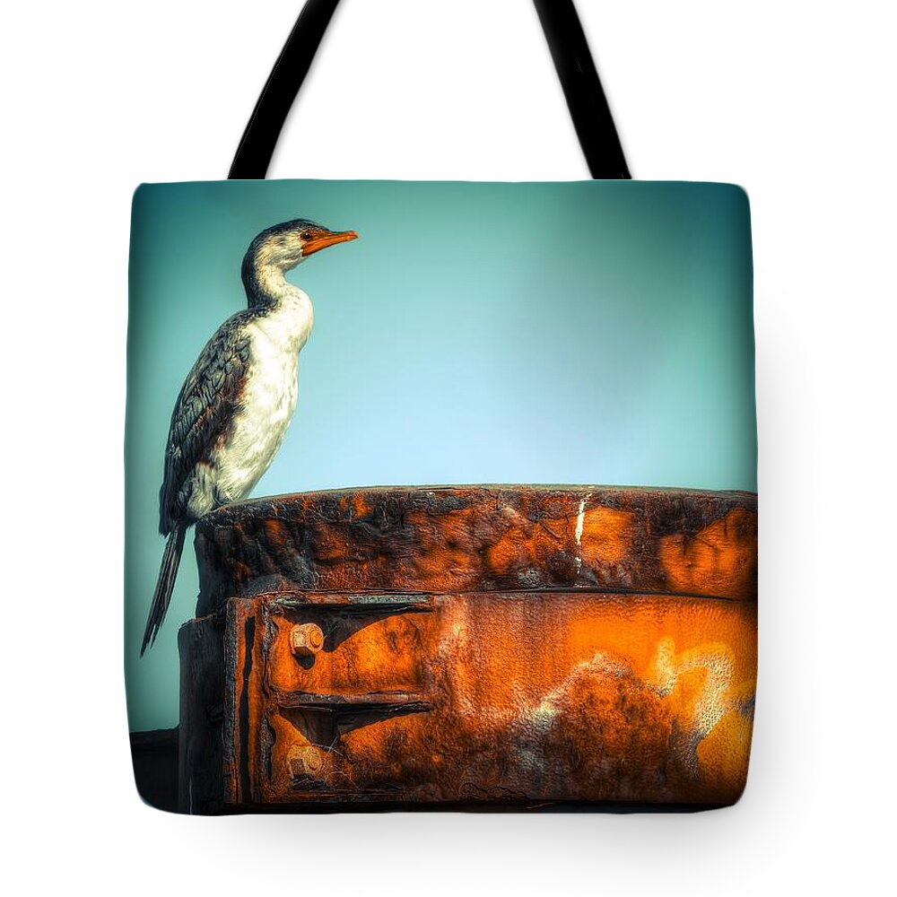 Beach Tote Bag featuring the photograph Shagadelic by Wayne Sherriff