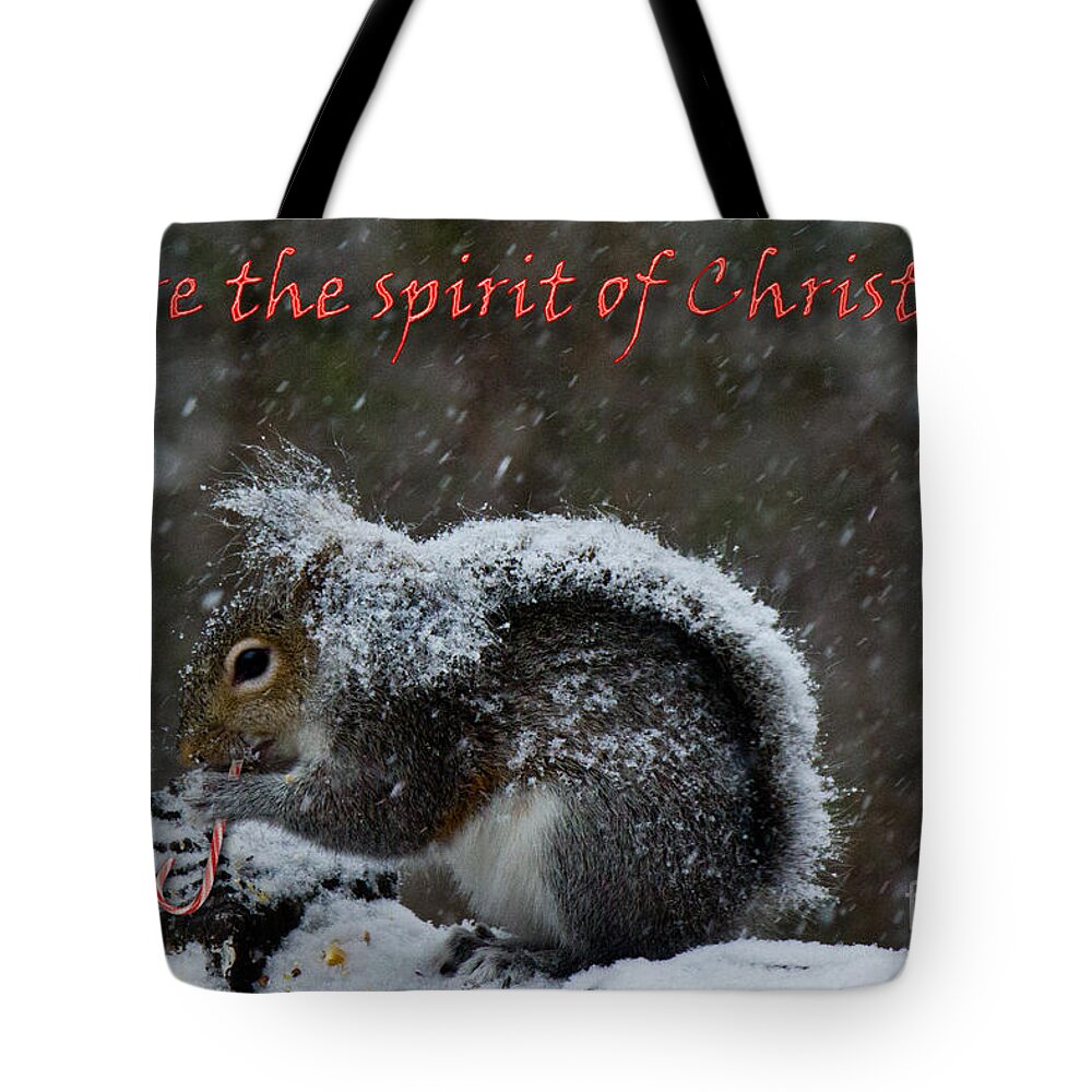 Christmas Tote Bag featuring the photograph Sharing Christmas by Sandra Clark