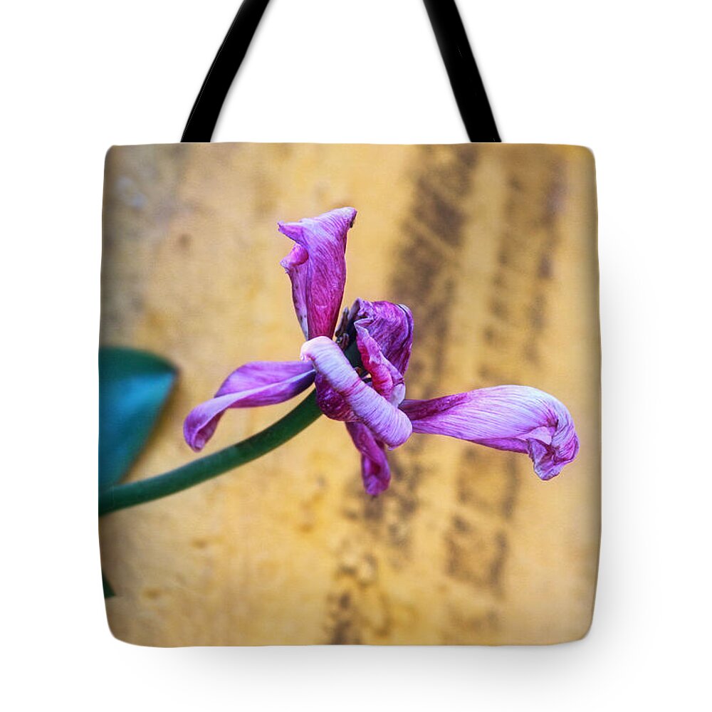 Flower Tote Bag featuring the photograph She Did Her Job by Joan Bertucci