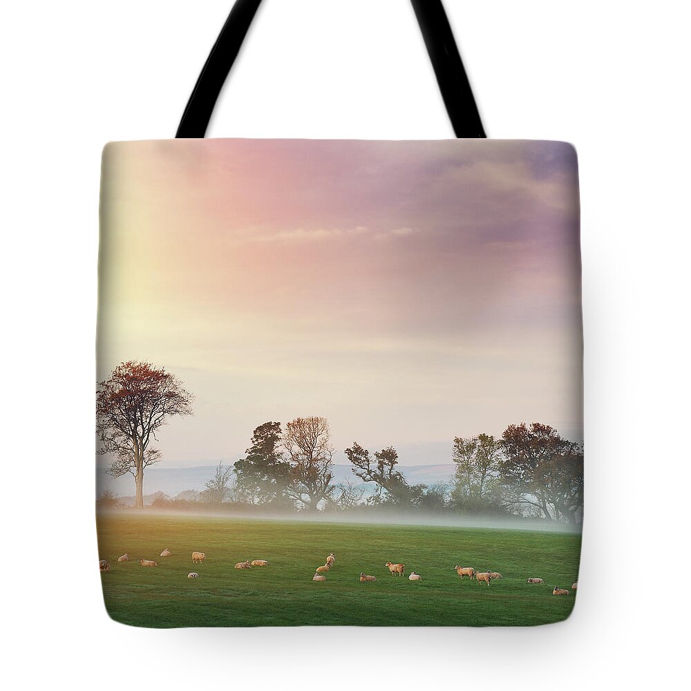 Dawn Tote Bag featuring the photograph Sheeps On The Pasture At Dawn by Mammuth