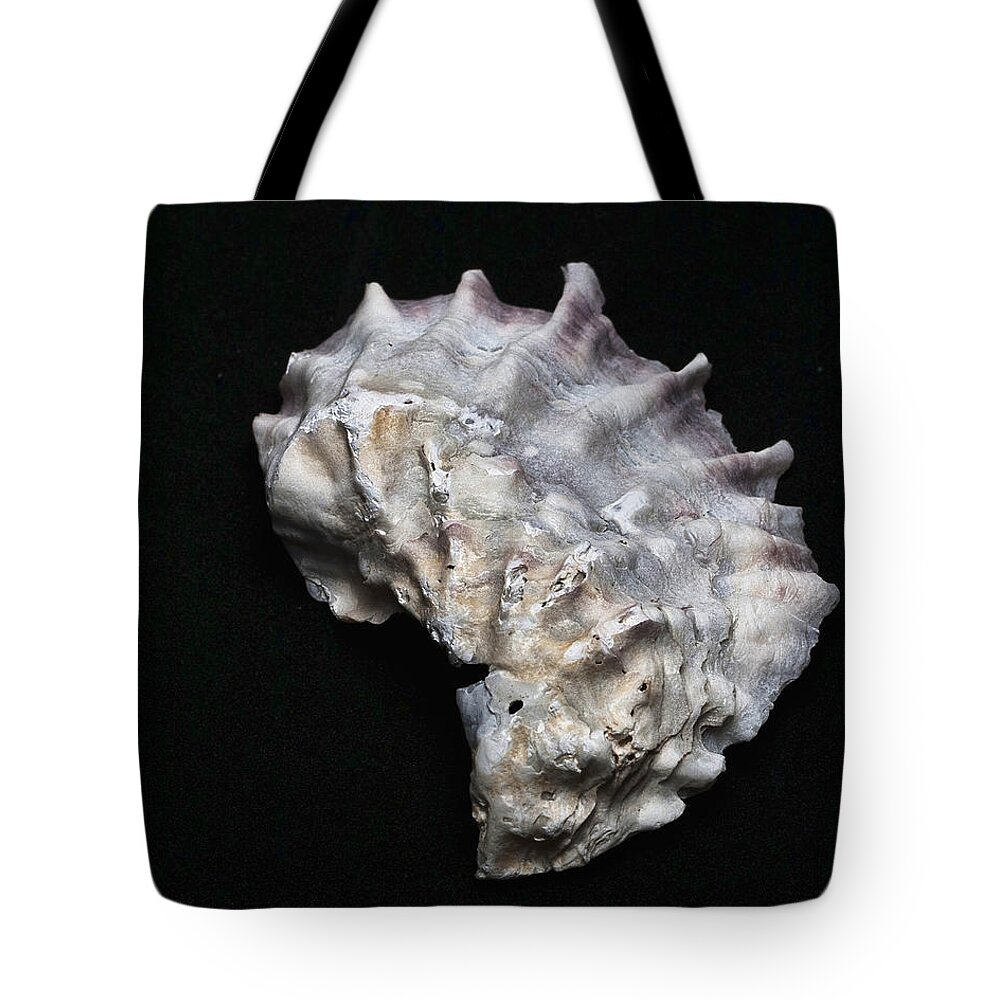Shell Tote Bag featuring the photograph Shell 2 by Ron Roberts