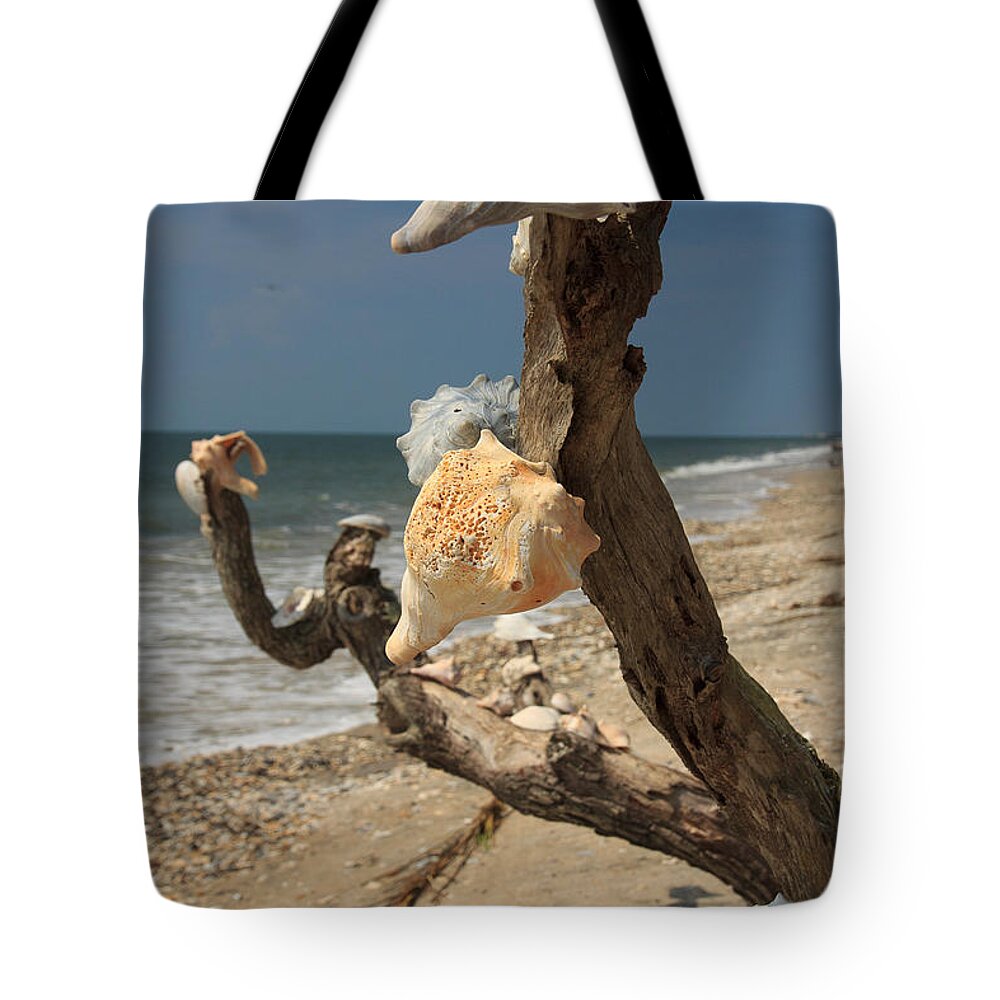 South Carolina Tote Bag featuring the photograph Shell Art by Patricia Schaefer