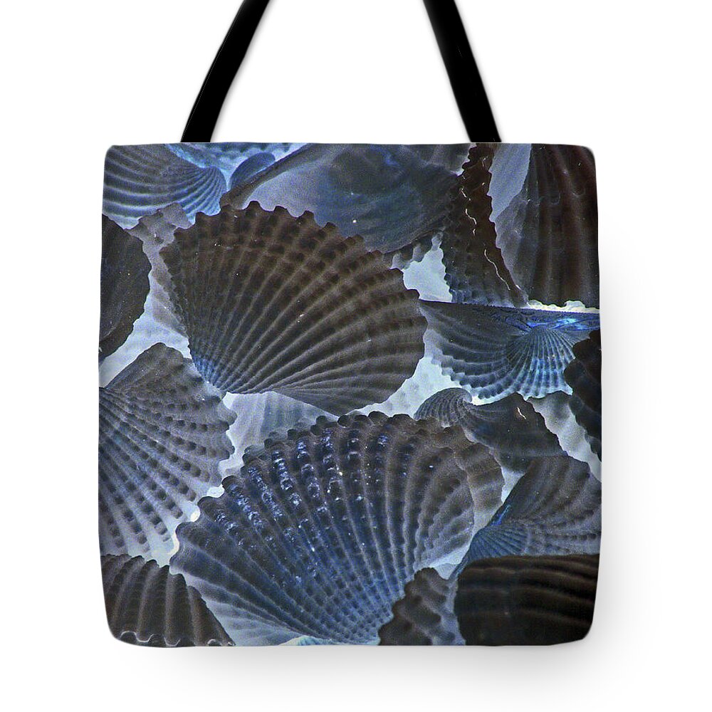Sea Shells Tote Bag featuring the photograph Shell Ballet by Joe Pratt