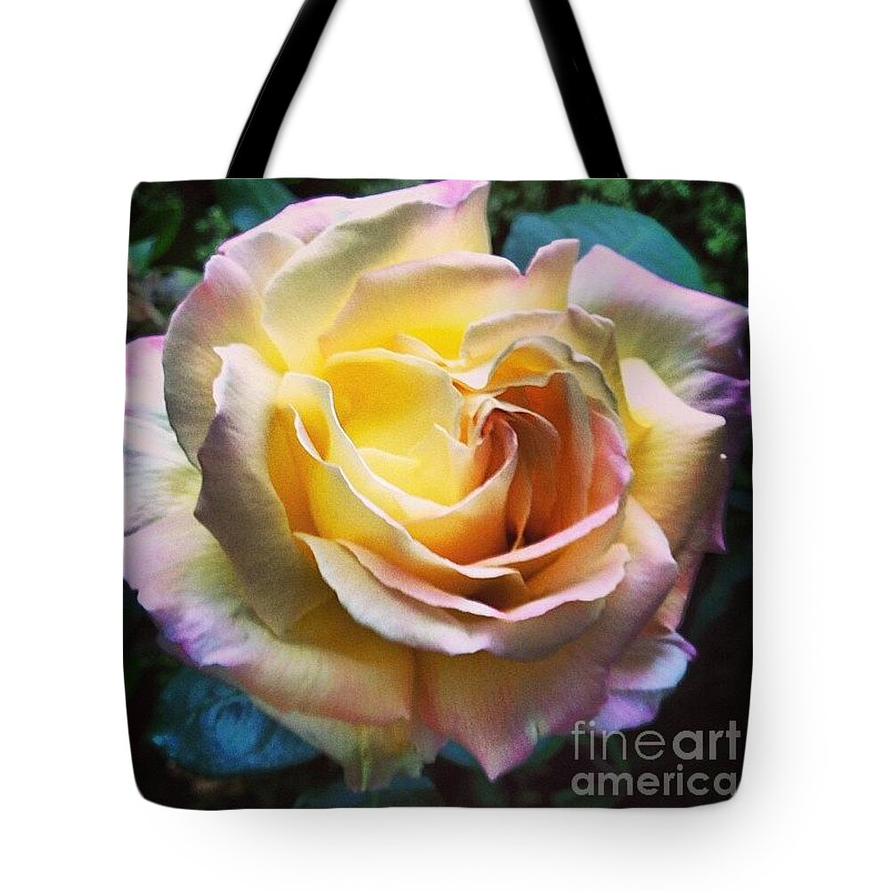 Rose Tote Bag featuring the photograph She's Like A Rainbow by Denise Railey