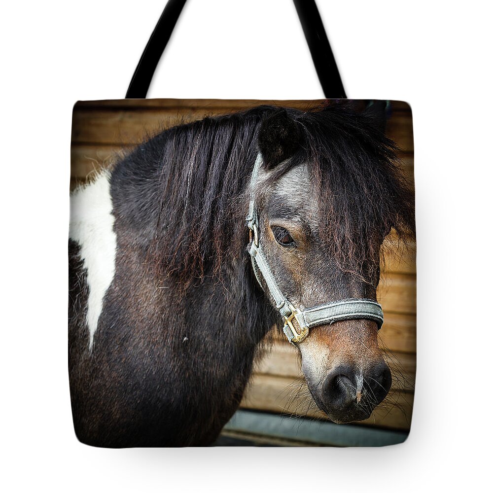 Horse Tote Bag featuring the photograph Shetland Pony by Deborah Pendell