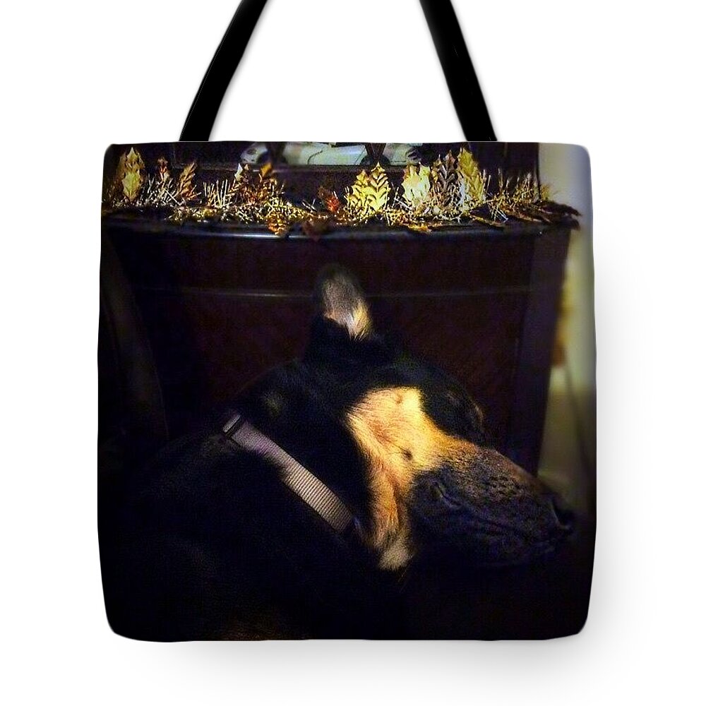 Germanshepherd Tote Bag featuring the photograph Shhhhhh It's That Time Again. #gsd by Abbie Shores