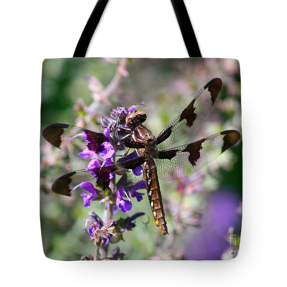 Dragonfly Tote Bag featuring the photograph Shining Through by Veronica Batterson