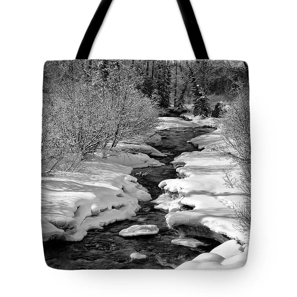 Alaska Tote Bag featuring the photograph Ship Creek by Ed Boudreau