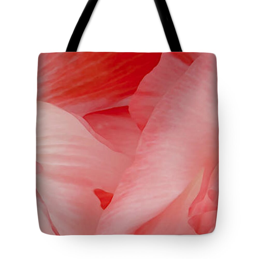 Poppies Tote Bag featuring the photograph Shirley Poppies by Theresa Tahara