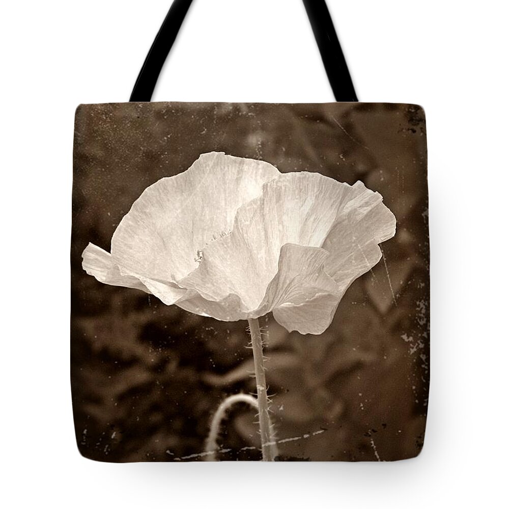 Poppy Tote Bag featuring the photograph Shirley Poppy in Brown by Chris Berry