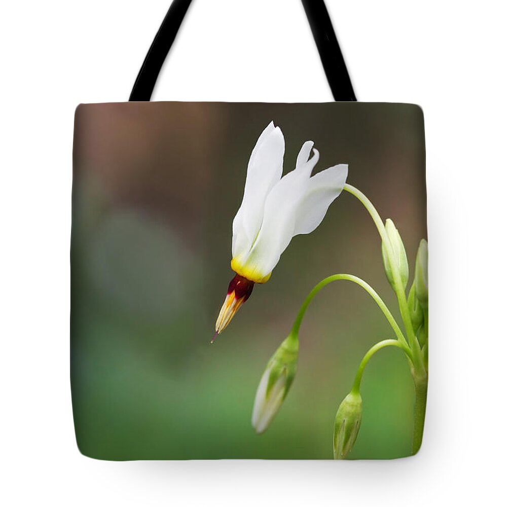 Shooting Star Tote Bag featuring the photograph Shooting Star Wildflower by Melinda Fawver