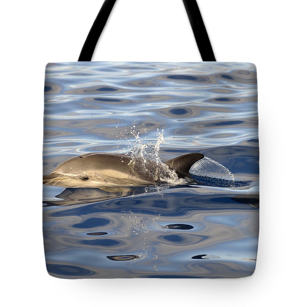 Flpa Tote Bag featuring the photograph Short-beaked Common Dolphins Azores by Malcolm Schuyl