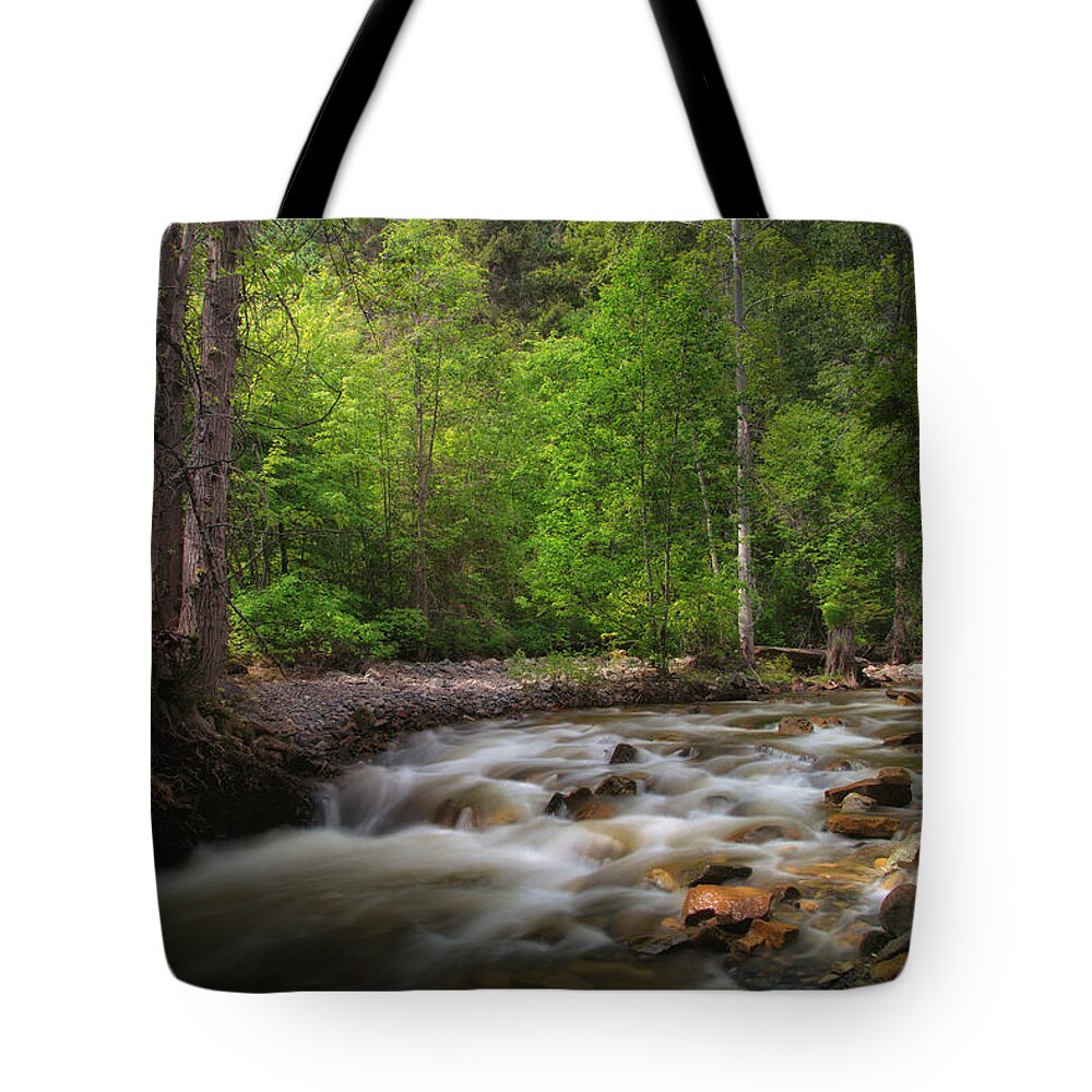 Fintry Provincial Park Tote Bag featuring the photograph Shorts Creek by Allan Van Gasbeck